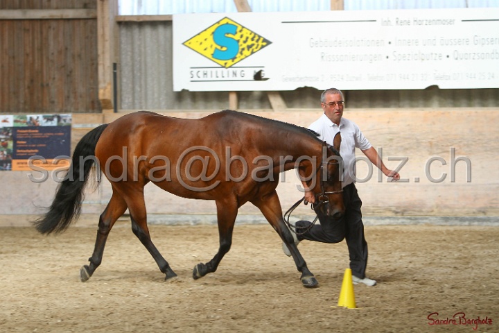 24-ApHC HIH_027.jpg